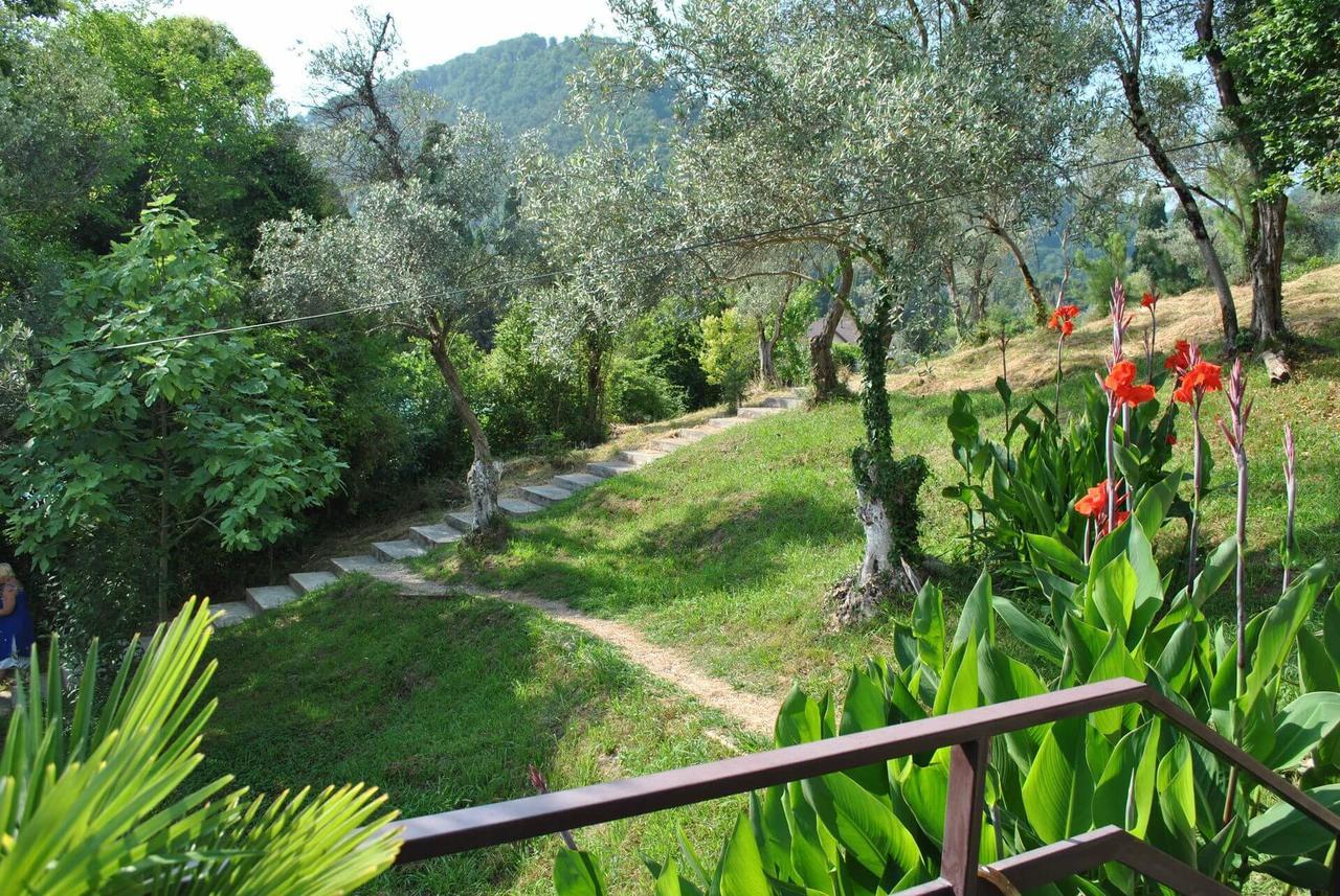 Villa Oliva New Athos Dış mekan fotoğraf